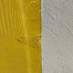 画像7: V.A. / SLIM BELLY MAN 