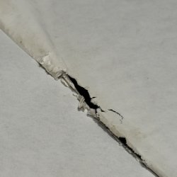 画像12: V.A. / samurai champloo - the way of the samurai vinyl collection. ~ サムライ チャンプルー ~ 3VINYL 