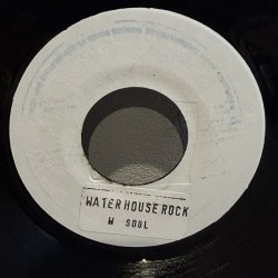 画像1: WAILING SOULS / WATERHOUSE ROCK - DON CARLOS / HOG & GOAT 