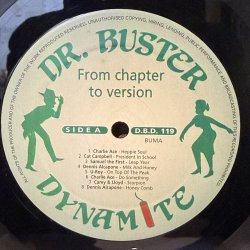 画像4: V.A. / FROM CHAPTER TO VERSION 16 REGGAE DJ-CLASSICS 1970 - 1973 