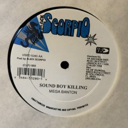 画像5: MEGA BANTON / SOUND BOY KILLING  12" E.P. 