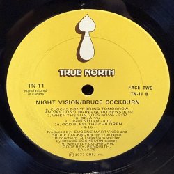 画像5: BRUCE COCKBURN / NIGHT VISION 