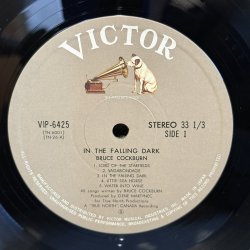 画像4: 夜のとばり - ブルース・コバーン ~ BRUCE COCKBURN / IN THE FALLING DARK ~ 
