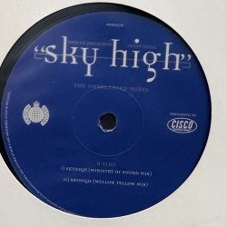 画像3: VOICES PRESENTS INDIVIDUAL / "sky high" THE UNRELEASED MIXES 12" E.P. 