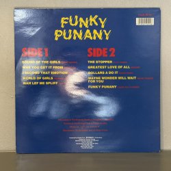 画像2: V.A. / FUNKY PUNANY 