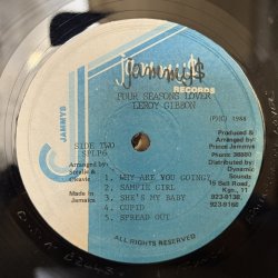 画像5: LEROY GIBBONS / FOUR SEASON LOVER