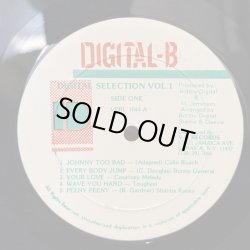 画像4: V.A. / DIGITAL B SELECTIONS 