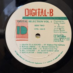 画像5: V.A. / DIGITAL B SELECTIONS 