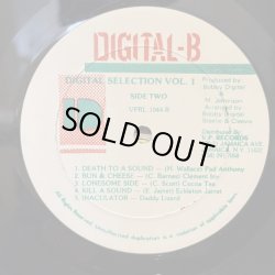画像5: V.A. / DIGITAL B SELECTIONS 