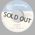 TOOTS & THE MAYTALS / SAILING ON (7")
