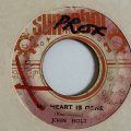 JOHN HOLT / MY HEART IS GONE (7")