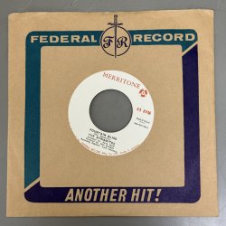 画像3: THE DYNAMITES / FOUNTAIN BLISS c/w IF YOU DID LOVE ME (7") 