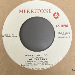 画像2: THE TARTANS / DANCE ALL NIGHT c/w WHAT CAN I DO (7") 