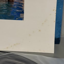 画像7: ザ・スクエア ~ THE SQUARE / スポーツ ~ S·P·O·R·T·S (LP) 