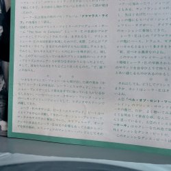 画像5: シーラ・E. ~ SHEILA E. / グラマラス・ライフ ~ IN THE GLAMOROUS LIFE (LP)　