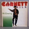 ガーネット・シルク ~ Garnett Silk / イッツ・グローウィング ~ It's Growing (LP) 