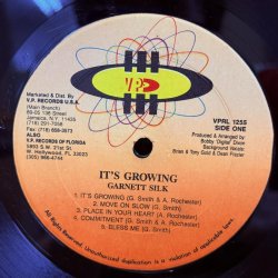 画像5: ガーネット・シルク ~ Garnett Silk / イッツ・グローウィング ~ It's Growing (LP) 