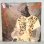 画像1: ブジュ・バントン ~ Buju Banton / ミスター・メンション ~ Mr. Mention (LP)　 (1)