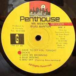 画像7: ブジュ・バントン ~ Buju Banton / ミスター・メンション ~ Mr. Mention (LP)　