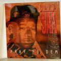 パパ・サン ~ Papa San / プレイ・フィ・デム ~ Pray Fi Dem (LP)