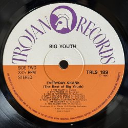 画像5: ビッグ・ユース ~ Big Youth / エブリデイ・スカンク — ベスト・オブ・ビッグ・ユース ~ Everyday Skank (The Best of Big Youth) (LP)　