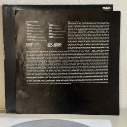 画像4: 銀星団 ~ SILVER STARS / 銀星団 (LP)　