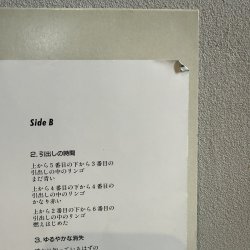 画像5: 天鼓 ~ TENKO / SLOPE ゆるやかな消失 ~ SLOPE - Gradual Disappearance (LP) 