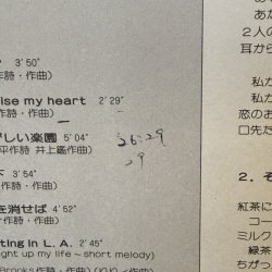 画像6: りりィ ~ Lily / ドント・ウォーリー・ドント ~ Don't Worry, Don't (LP)