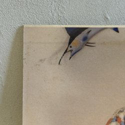 画像8: 庄野真代 ~ Mayo Shono / ルフラン ~ Refrain (LP)