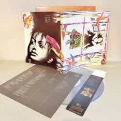 画像3: 遠藤ミチロウ / アメユジュトテチテケンジャ ~ Odyssey 1985 SEX II (12")