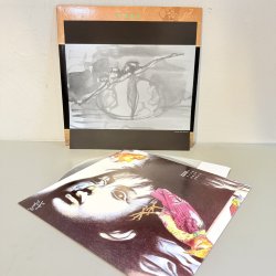 画像4: 遠藤ミチロウ / アメユジュトテチテケンジャ ~ Odyssey 1985 SEX II (12")
