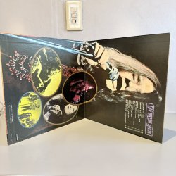 画像3: ジャニス・ジョプリン ~ Janis Joplin / 栄光のジャニス・ジョプリン ~ The Great Janis (LP)