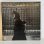 画像1: ニール・ヤング ~ Neil Young / アフター・ザ・ゴールド・ラッシュ ~ After The Gold Rush (LP) (1)