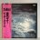 画像1: Peter Green ピーター・グリーン / In The Skies 虚空のギター (LP) (1)