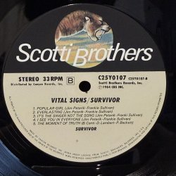 画像6: Survivor ~ バイタル・サインズ (LP)