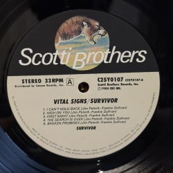 画像5: Survivor ~ バイタル・サインズ (LP)