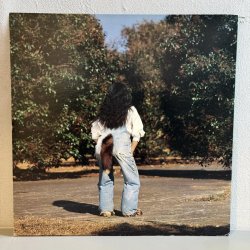 画像2: 矢野顕子 ~ Akiko Yano / ごはんができたよ (2LP)