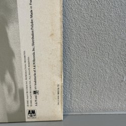 画像3: スティング ~ Sting / ブルー・タートルの夢 ~ The Dream Of The Blue Turtles (LP)