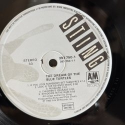 画像8: スティング ~ Sting / ブルー・タートルの夢 ~ The Dream Of The Blue Turtles (LP)