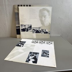 画像5: スティング ~ Sting / ブルー・タートルの夢 ~ The Dream Of The Blue Turtles (LP)