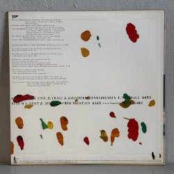 画像2: 浪花エキスプレス ~ Naniwa Express / 大宇宙無限力神 ~ Daiuchuhmugenryokushin (LP)