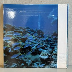 画像2: 菊池桃子 ~ Momoko Kikuchi / Ocean Side (LP)