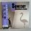 画像1: 佐野元春 ~ Motoharu Sano / Someday (LP) (1)