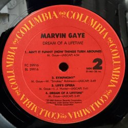 画像9: マーヴィン・ゲイ ~ Marvin Gaye / ドリーム・オブ・ア・ライフタイム ~ Dream Of A Lifetime (LP)