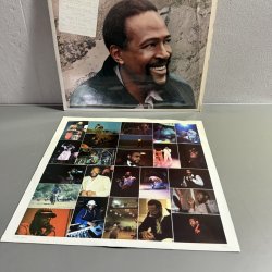 画像6: マーヴィン・ゲイ ~ Marvin Gaye / ドリーム・オブ・ア・ライフタイム ~ Dream Of A Lifetime (LP)