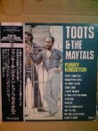 画像1: TOOTS AND THE MAYTALS . FUNKY KINGSTON