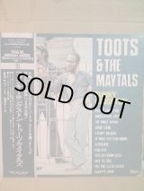 画像: TOOTS AND THE MAYTALS . FUNKY KINGSTON