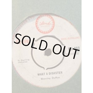 画像: SHENLEY DUFFUS . WHAT A DISASTER . I AM RICH