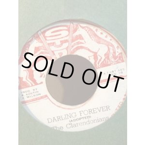 画像: THE CLARENDONIANS . DARLING FOREVER