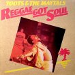 画像1: TOOTS AND THE MAYTALS / REGGAE GOT SOUL